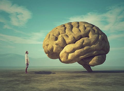 Visual illusion that may help explain consciousness: New study