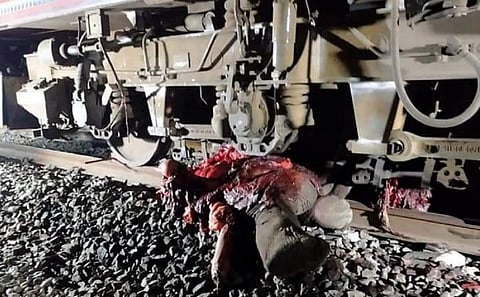 Elephant crushed by train in Odisha’s Sambalpur