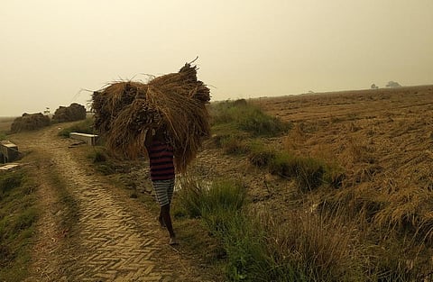 पटना के पालीगंज में धान ले जाता एक मजदूर। फ़ोटो: उमेश कुमार राय
