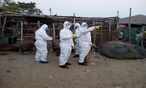 Death of 200 chickens at Odisha farm stokes bird flu fears