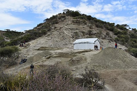 Finds in Tanzania’s Olduvai Gorge reveal how ancient humans adapted to change
