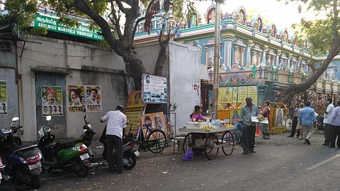 Mahua trees found in Puducherry’s French Quarter during unique tree survey