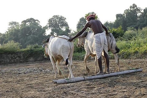 कोरोना से ज्यादा खतरनाक है जलवायु परिवर्तन: वर्ल्ड इकोनॉमिक फोरम 