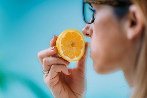 Photo: Microgen/Shutterstock