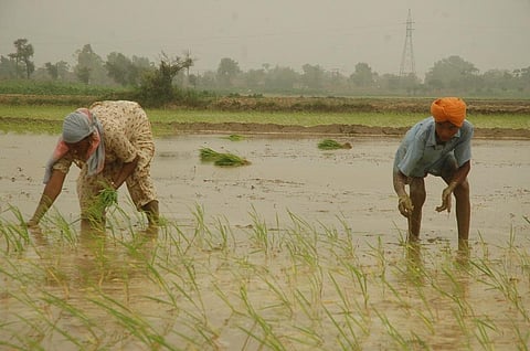 Photo: Agnimirh Basu/CSE
