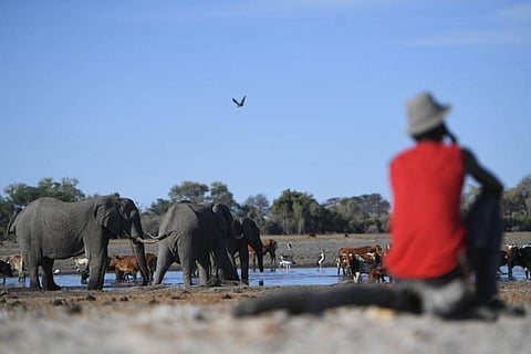 New targets to protect biodiversity must include farmers and agriculture