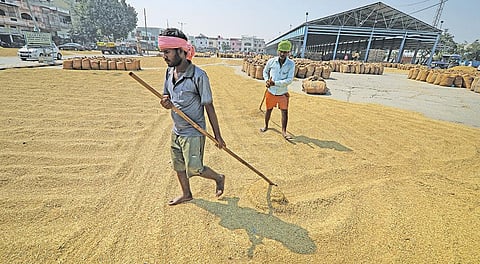 फोटो : विकास चौधरी