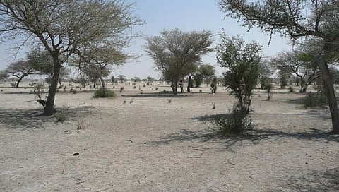 Temperatures in northern Africa likely to rise between February and April despite La Nina