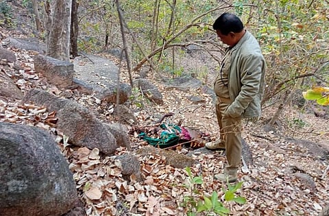 Woman dies in violent wild bear attack in Odisha’s Nuapada