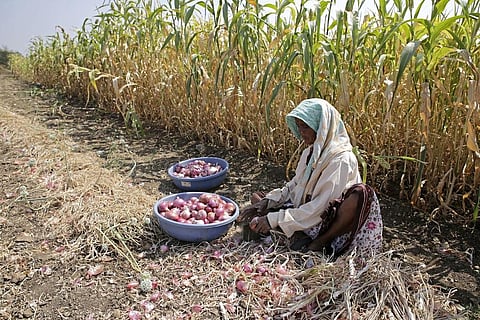 फोटो: विकास चौधरी