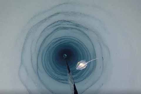 A British Antarctic Survey camera travelling down a 900-meter-long bore hole in the Filchner-Ronne ice shelf (the animal in the image is unrelated to the discovery). Photo: Huw Griffiths / British Antarctic Survey


