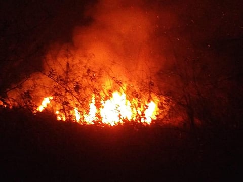 At a forest in Similipal in Odisha's Mayurbhanj district. The district is among the worst affected by the fires. Photo: Ashis Senapati