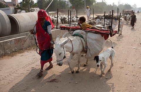 फोटो: विकास चौधरी 