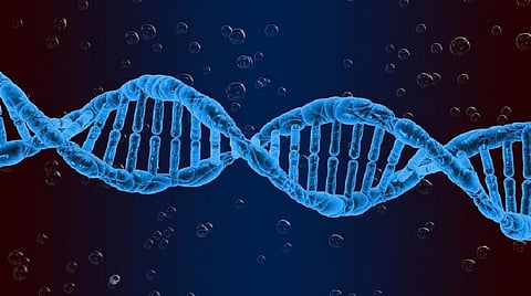Phylogenetic tools can help track COVID-19 variants faster. Here's how