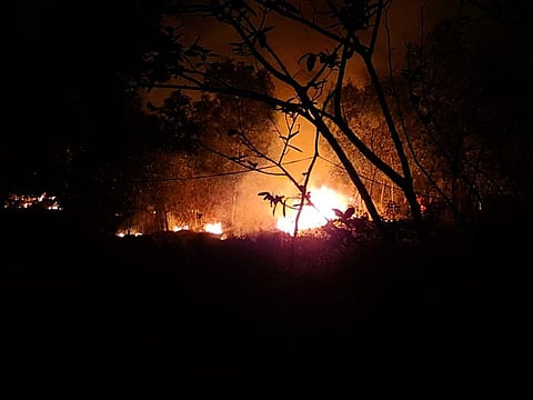 Fire has been raging in Similipal National Park fore more than a fortnight. Photo: Twitter / @kissfoundation 