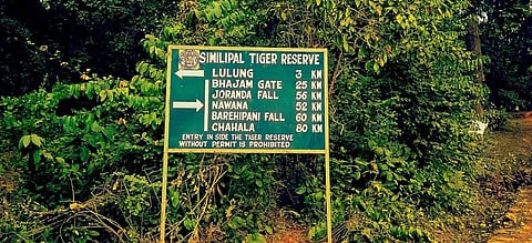 A Union government report published July 2019 pegged at Rs 29,897.49 crore per year, the direct and indirect benefits these forests provide to human health by Similipal Tiger Reserve. Photo: Wikimedia Commons