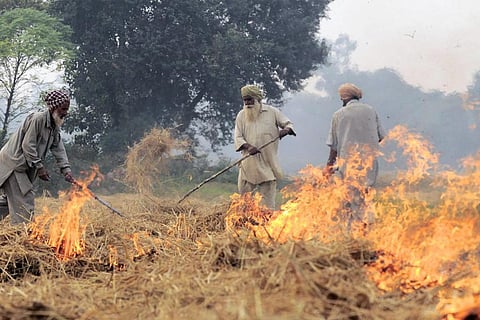 दुनिया में 34 फीसदी उत्सर्जन के लिए जिम्मेवार है खाद्य व्यवस्था 