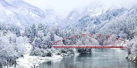 Photo: istock