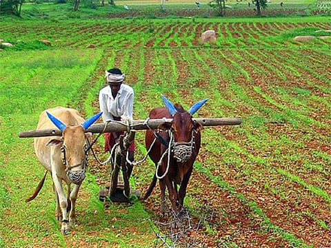 A third of global greenhouse gas emissions from food production: Study