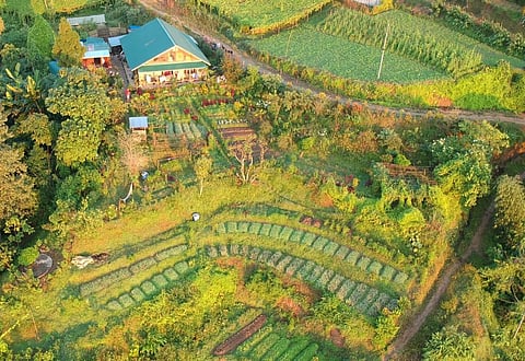 Permaculture farming is gaining traction in Nepal's Dhankuta district. Photo: Permaculturenepal.com