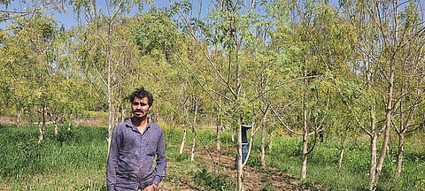 The tanks surrounding Nadia village in Tikamgarh, Madhya Pradesh, need negligible maintenance because they do not obstruct the natural flow of rainwater