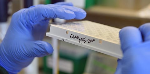 An RT-PCR test. Photo: Wikimedia Commons