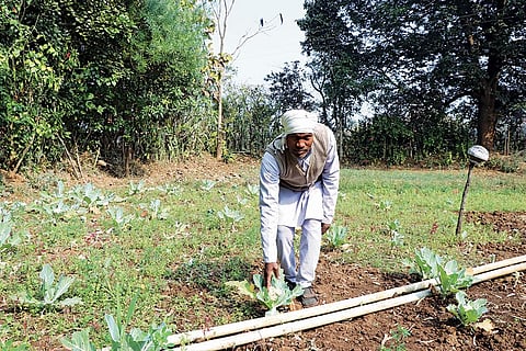 Nepal Singh of Barmani village in Madhya Pradesh’s Sidhi district. Residents started returning to farm once water availability improved due to construction of check dams 