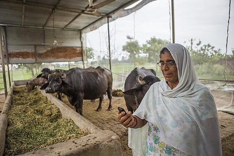 How MGNREGA is promoting climate-smart villages