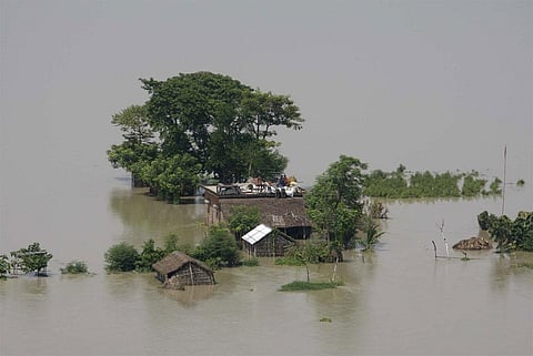 Photo : Wikimedia Commons