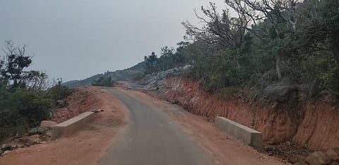 Twenty-nine of the 41 species of threatened medicinal plants found in Odisha are found in Mahendragiri. Photo: Hrusikesh Mohanty