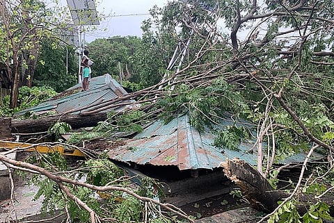 Photo: Wikimedia Commons,  Post Cyclone Amphan situation of Deshbandhu park in Kolkata, West Bengal, India. 