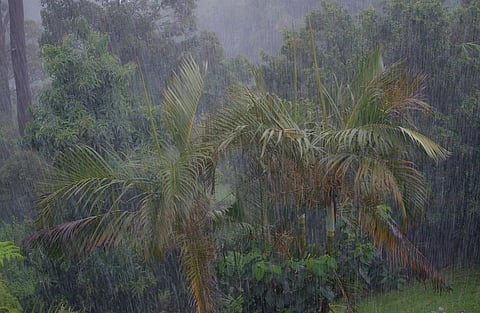 Climate change may make Indian monsoons more volatile, wet years ahead: Study