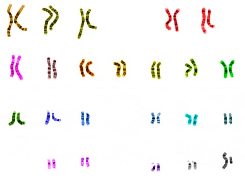 Scientists are on a path to sequencing 1 million human genomes, use big data to unlock genetic secrets