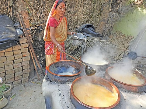 Nolen gur (date palm jaggery)is produced by boiling the sap from the tree for  an hour. The  sap collected has to be turned into jaggery the same day, else it ferments (Photographs: Medha Basu)