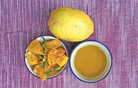 विभा वार्ष्णेय / सीएसई 