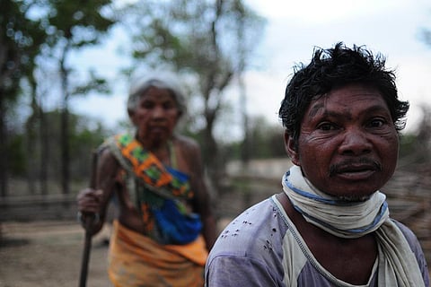 पेड़ों की अनदेखी कीमत: भारत में हर साल 235 लाख करोड़ की पारिस्थितिक सेवाएं प्रदान कर रहे हैं जंगल