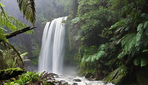 Hopetoun Falls in Victoria, Australia. Photo: DAVID ILIFF via Wikimedia