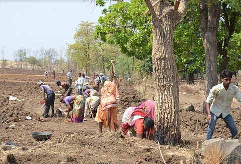 COVID-19: How heat stress affected livelihood, health of Maharashtra’s rural communities  