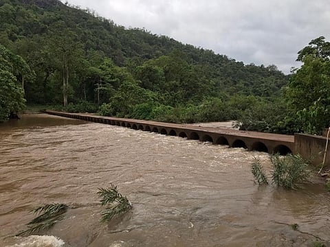 Months after forest fire, Cyclone Yaas threatens flooding in Similipal 