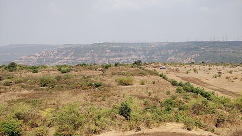 How ecological restoration helped transform a degraded land parcel in Maharashtra