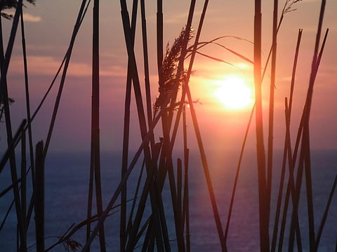 Global warming caused over a third of heat-related deaths between 1991 and 2018: Study
