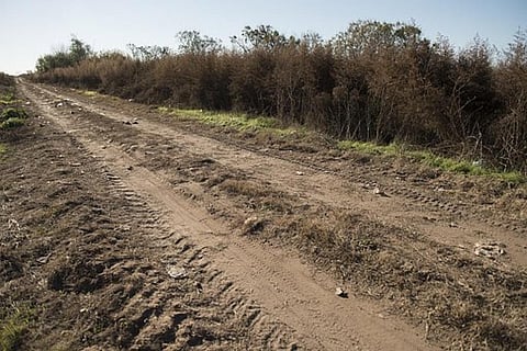 World Environment Day 2021: Why we need to restore contaminated land 