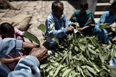 फोटो: ईशान तन्खा/ यूएनडीपी