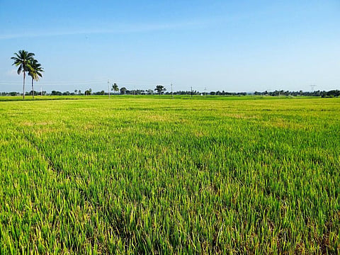 Petrol > Rs 100: Forget doubling income, farming now way costlier in Bihar