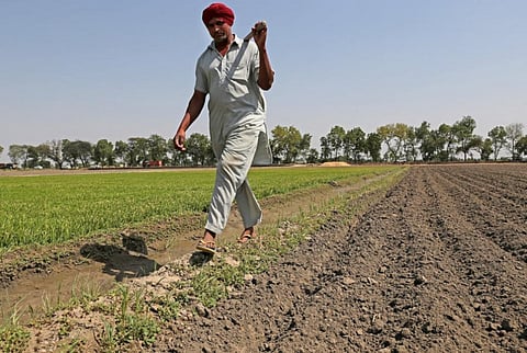 Privacy concerns, no consultation: Farmer and digital rights groups write to Centre on AgriStack