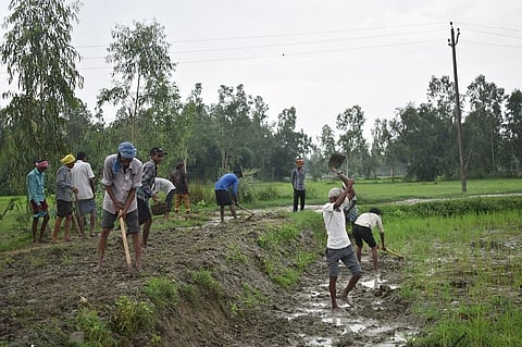 अमेठी जिले के ब्रहमनी गांव में मनरेगा के तहत कार्य करते ग्रामीण। फोटो: गौरव गुलमोहर