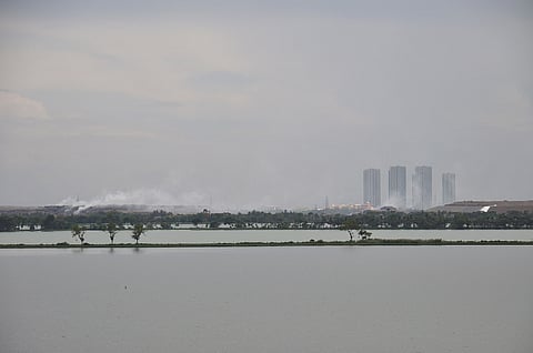 Measly Rs 1.46 cr: Cost for years of damage to Ramsar site East Kolkata Wetlands