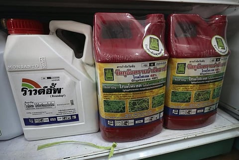 While debate rages over glyphosate-based herbicides, farmers are spraying them all over the world