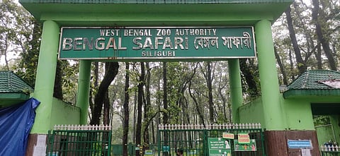 COVID-19: North Bengal tourism takes a hit as wildlife parks keep visitors out 