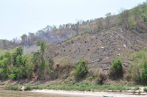 Climate crisis: Deforestation in southeast Asia mountains on the rise